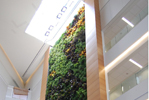 Thumbnail Image of Drexel's Biowall